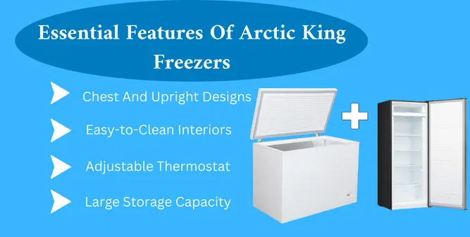 Essential Features Of The Arctic King Freezers