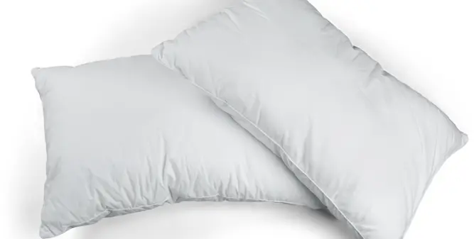 MyPillow Classic Bed Pillow 2 Pack
