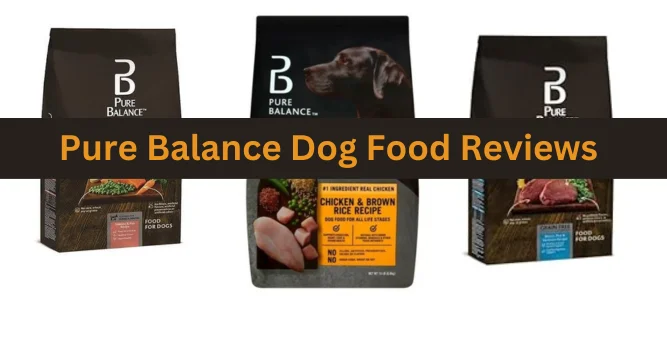Who Makes Pure Balance Dog Food in 2023 - Who Makes Hub