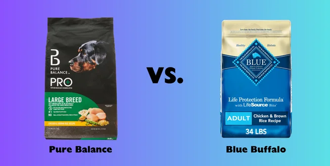 Pure Balance Vs Blue Buffalo - Comparision of Both Brands